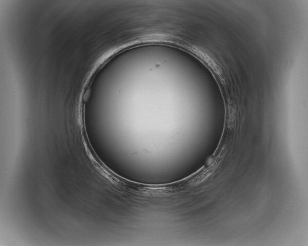 X0000116461342200912161224
