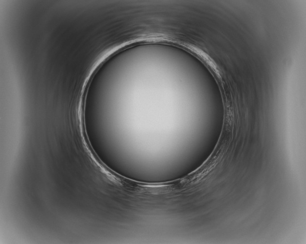 X0000116461343200912161224