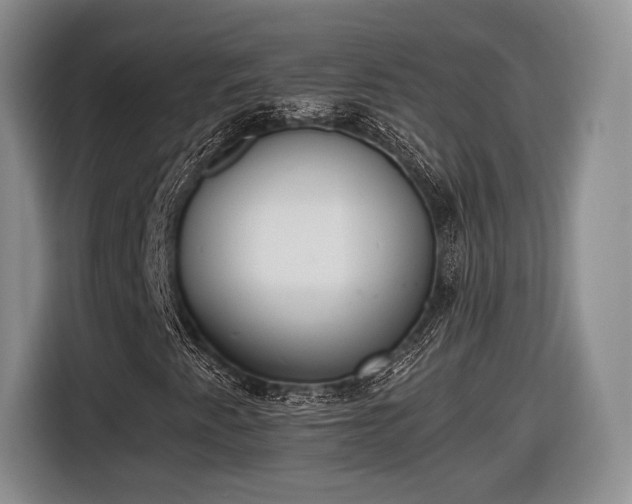 X0000116461345200912161224
