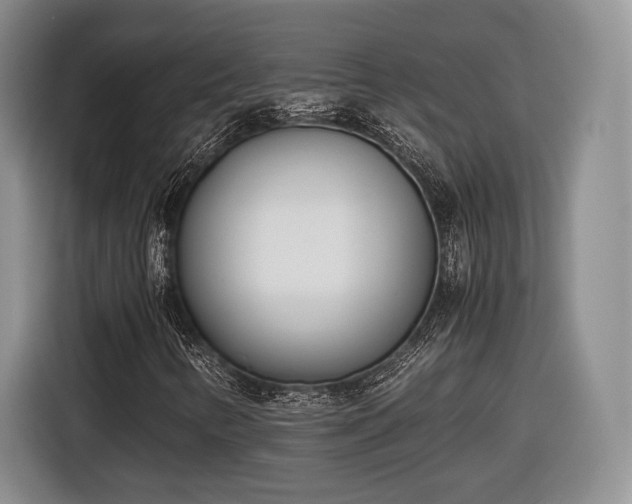 X0000116461346200912161224