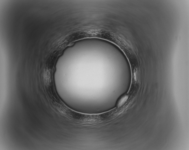 X0000116461347200912161224