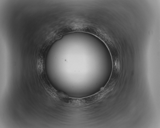 X0000116461348200912161224