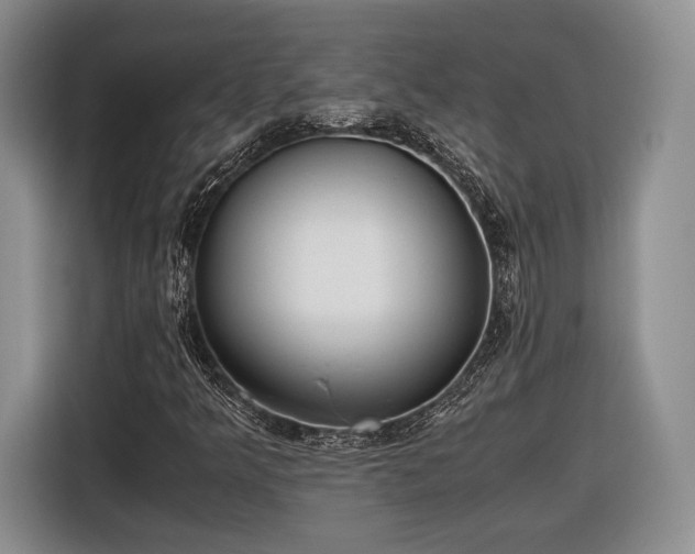 X0000116461349200912161224