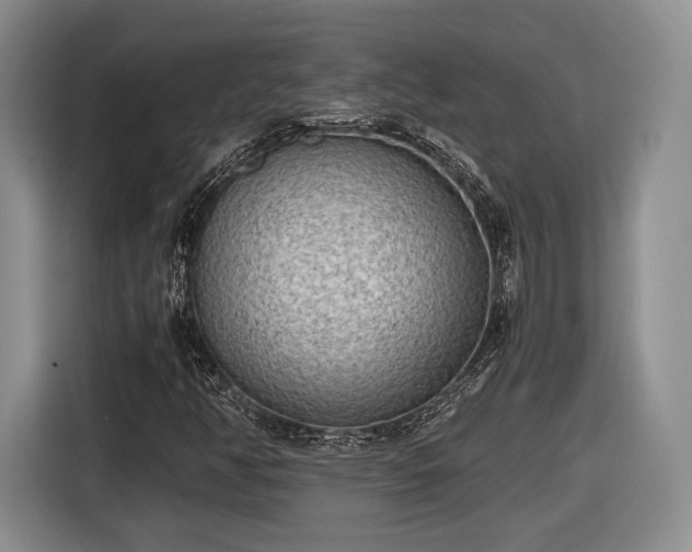 X0000116461350200912161224