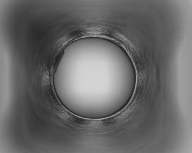 X0000116461353200912161224