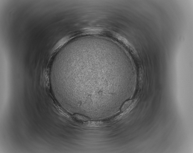 X0000116461354200912161224