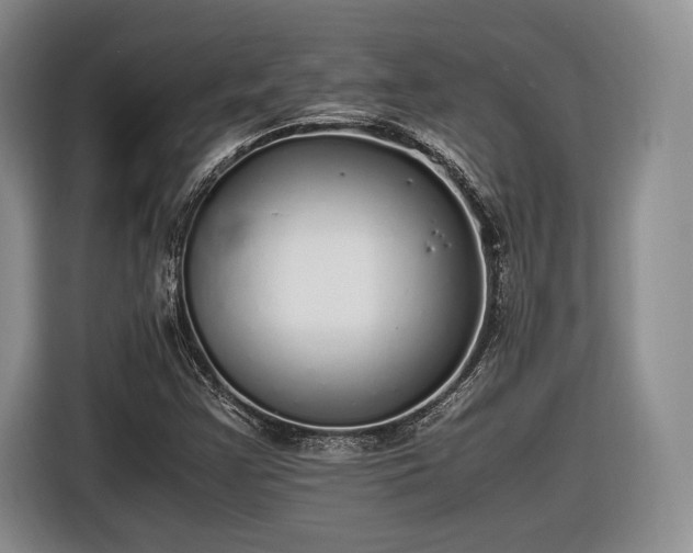 X0000116461355200912161224