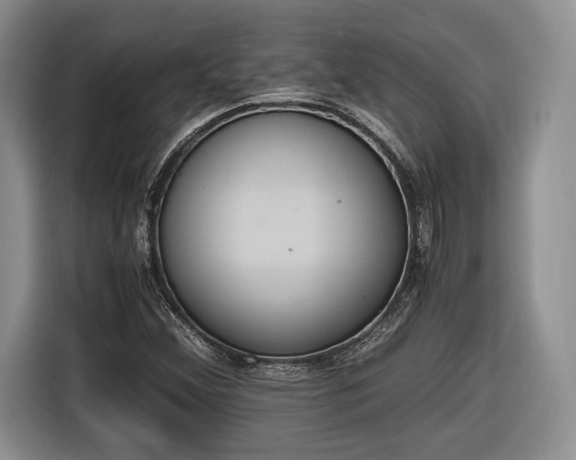 X0000116461356200912161224