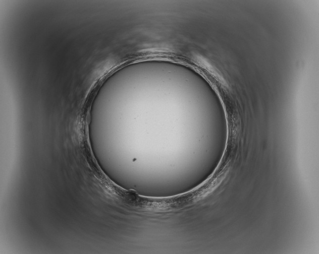 X0000116461357200912161224