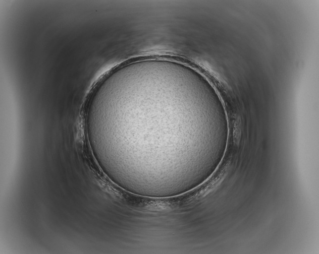 X0000116461358200912161224
