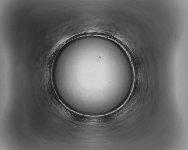 X0000116461359200912161224