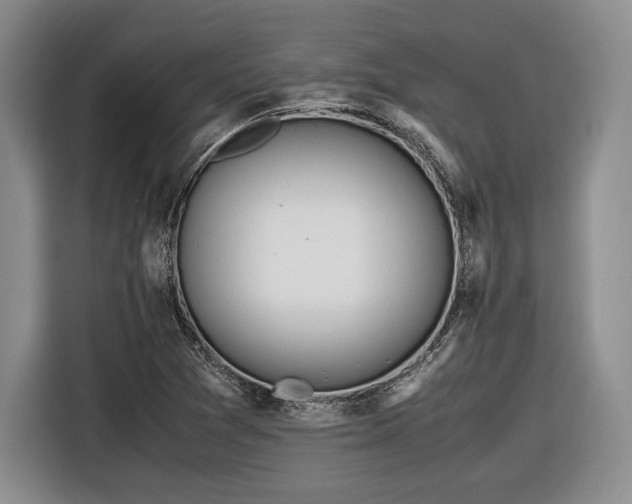 X0000116461361200912161224