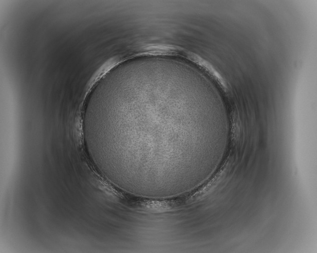X0000116461362200912161224