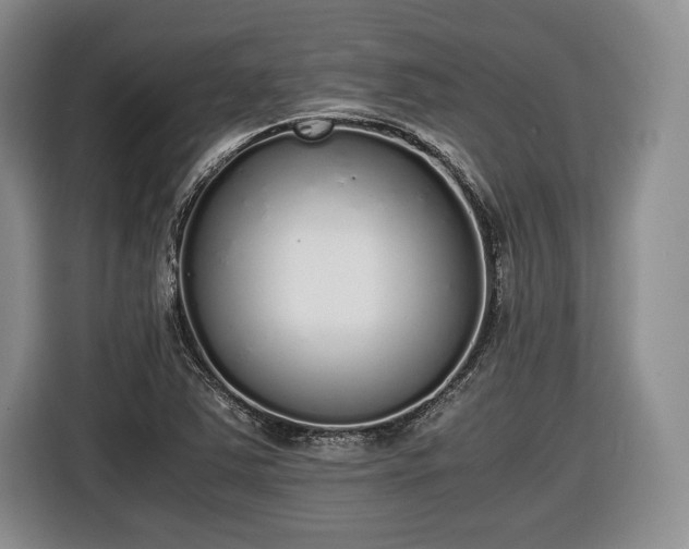 X0000116461363200912161224