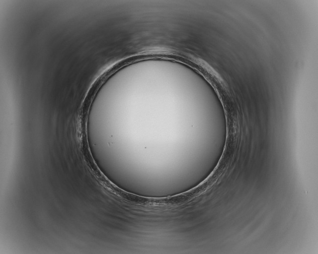 X0000116461364200912161224
