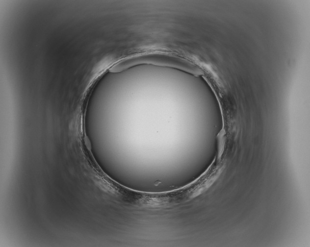 X0000116461365200912161224