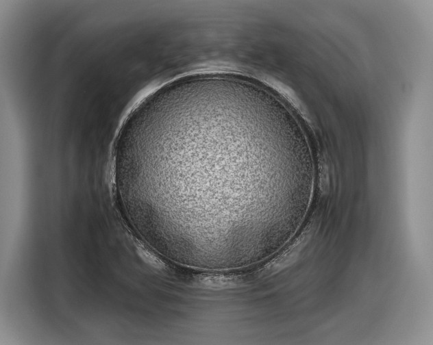 X0000116461366200912161224