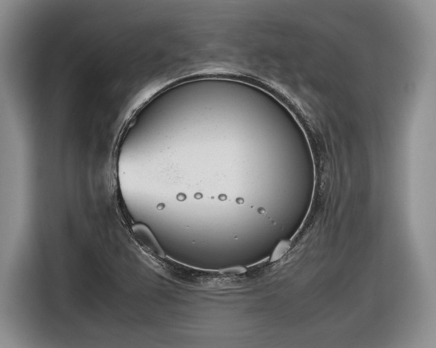 X0000116461367200912161224