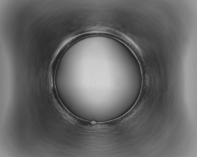 X0000116461368200912161224