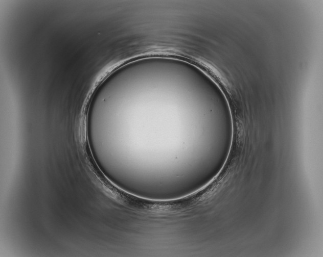 X0000116461371200912161223