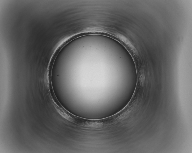 X0000116461372200912161223