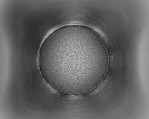 X0000116461374200912161223