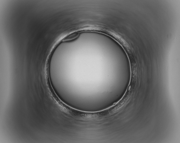 X0000116461375200912161223