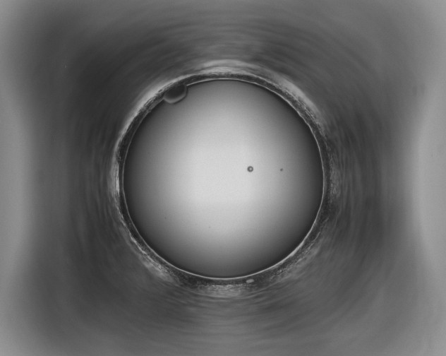 X0000116461376200912161223