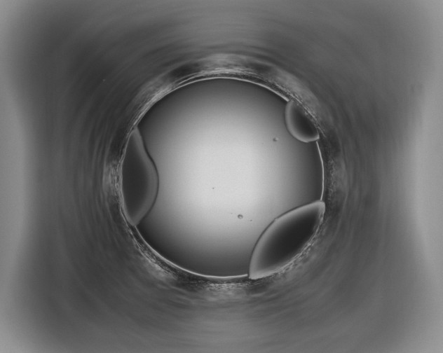 X0000116461377200912161223