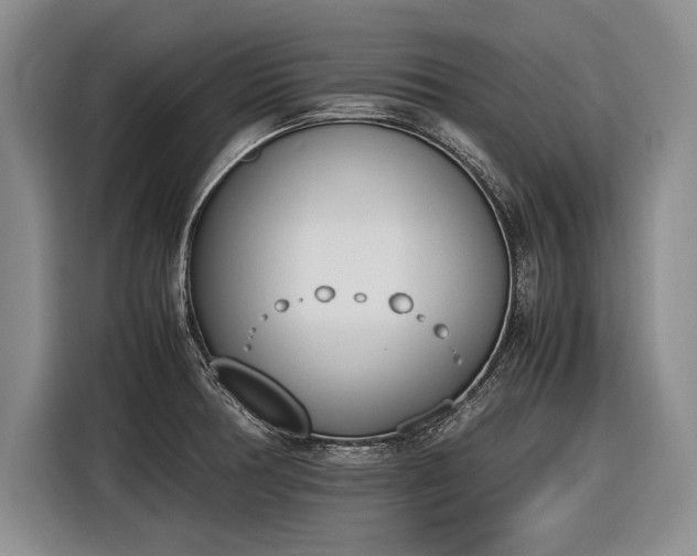 X0000116461378200912161223