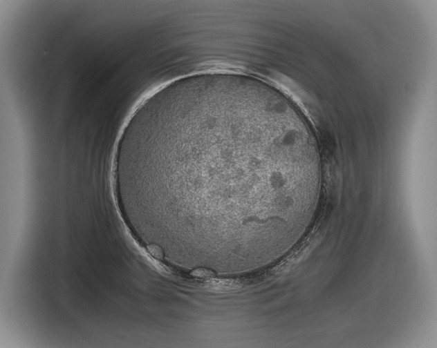 X0000116461379200912161223