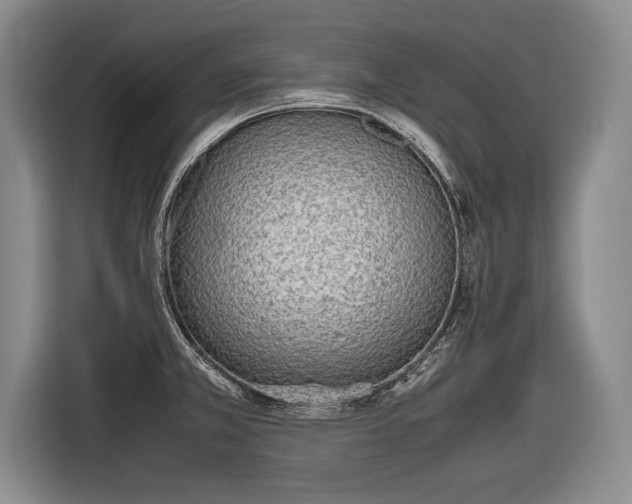 X0000116461381200912161223