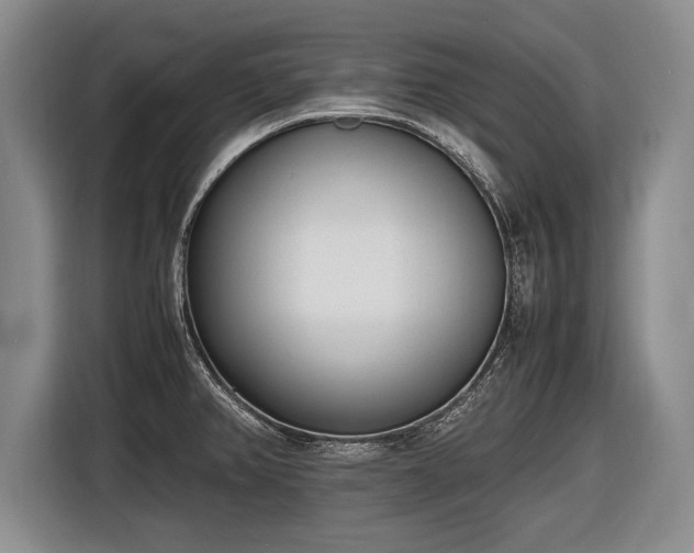 X0000116461382200912161223