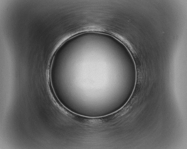 X0000116461383200912161223