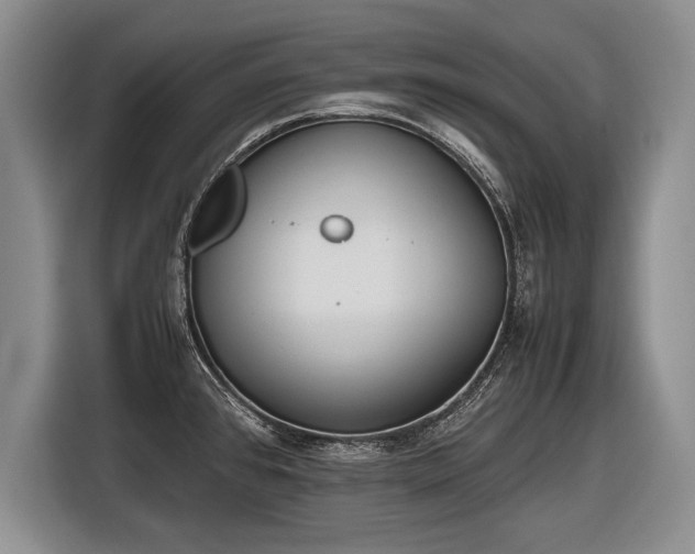 X0000116461384200912161223