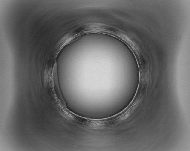 X0000116461385200912161223