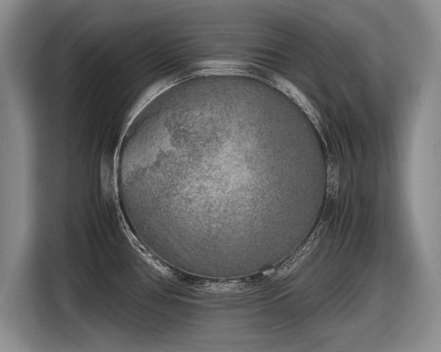 X0000116461386200912161223