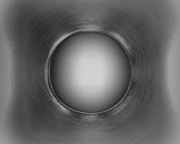 X0000116461387200912161223