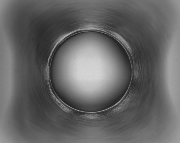 X0000116461388200912161223