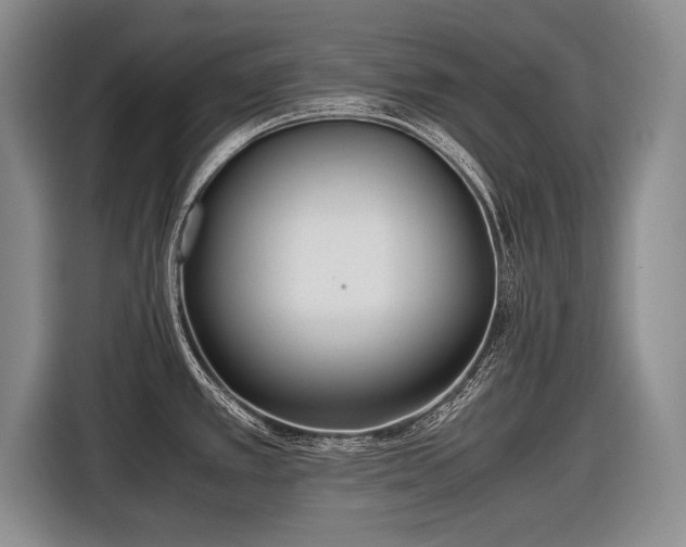 X0000116461389200912161223