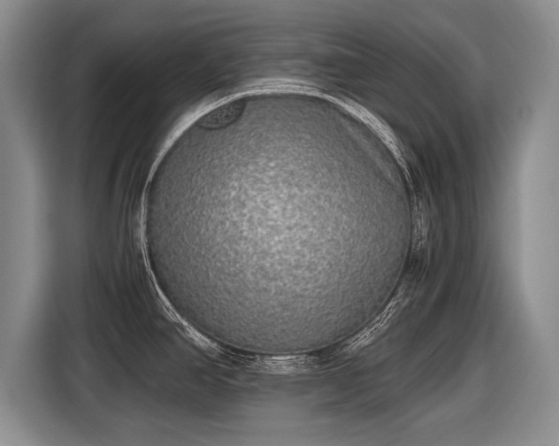X0000116461390200912161223