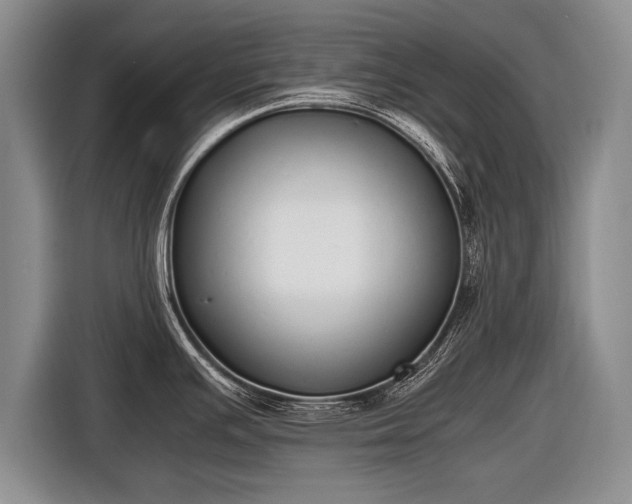 X0000116461391200912161223