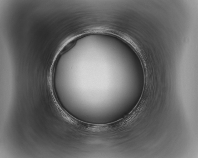 X0000116461392200912161223