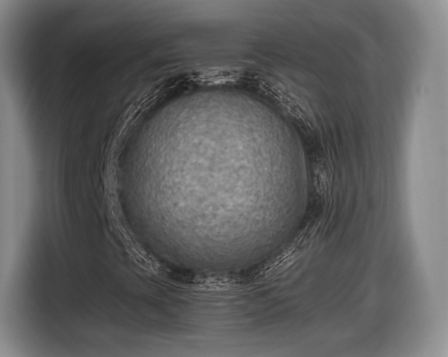 X0000116461393200912161223