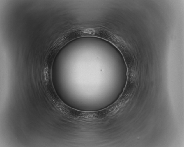 X0000116461394200912161223