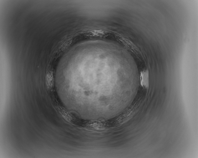 X0000116461395200912161223