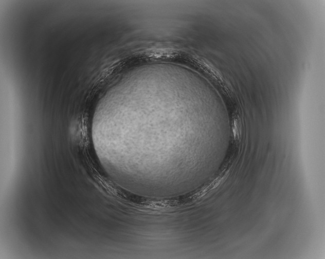 X0000116461396200912161223