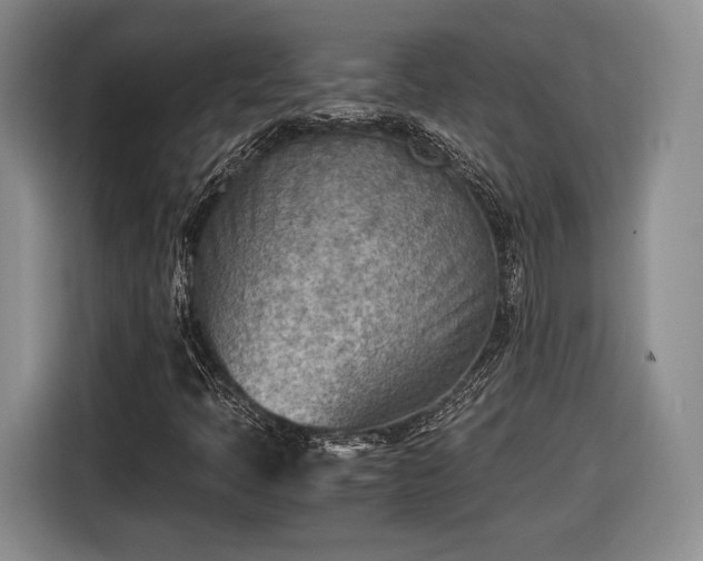 X0000116461397200912161223