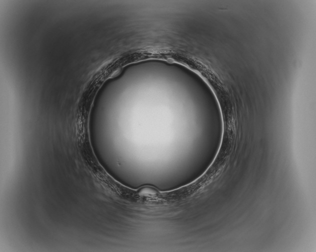 X0000116461398200912161223