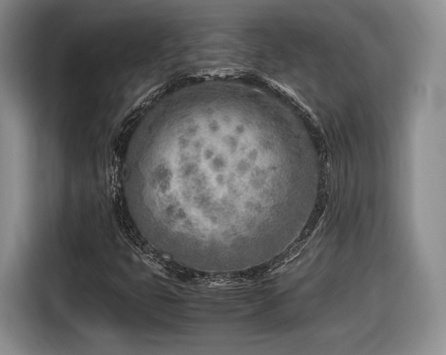 X0000116461399200912161223